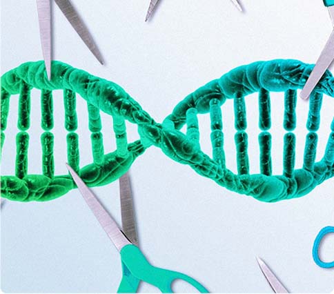 【Strategic Cooperation】XMJ Joins Hands with Synthego to Bring Advanced CRISPR Technology Solutions 【Strategic Cooperation】XMJ Joins Hands with Synthego to Bring Advanced CRISPR Technology Solutions